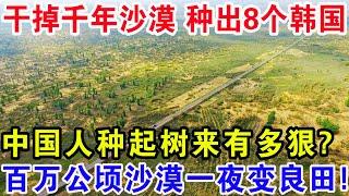 干掉千年沙漠种出8个韩国，中国人种起树来有多狠？百万公顷沙漠一夜变良田！