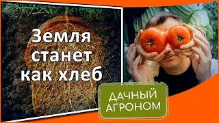 СДЕЛАЙ это ОСЕНЬЮ и ЗЕМЛЯ станет как ХЛЕБ