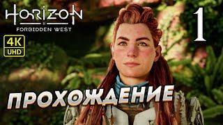 Прохождение Horizon: Forbidden West на PS4 Pro в [4K]  Часть 1