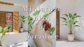 How to make |  Miniature Tropical Plants a Bird Of Paradise | 미니어처 식물 극락조