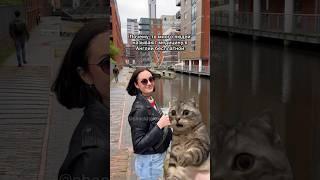 Сколько Стоит Бесплатная Медицина в Англии ‍️ - ЗАЦЕНИ!