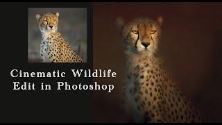 How You can Edit Wildlife Photography in a Cinematic Style