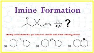 Formation of Imine: Properties and Mechanism