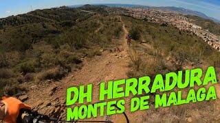 ‍️ ️DH La Herradura  | Montes de Málaga | Enduro MTB | FOCUS SAM2