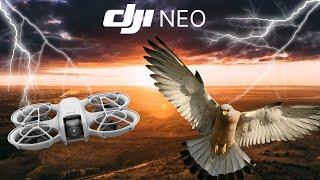 DJI NEO VS 20 BIRDS VS MUM