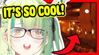 Nerd Fauna Lecture On The 𝙇𝙖𝙧𝙜𝙚𝙨𝙩 𝘾𝙖𝙩𝙖𝙘𝙤𝙢𝙗𝙨 On Earth【Ceres Fauna / HololiveEN】