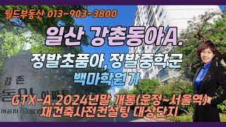 일산 강촌동아아파트 정발초품아,정발중학군 백마학원가_월드신뢰 TV_안순옥 공인중개사is204