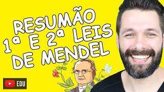 PRIMEIRA E SEGUNDA LEIS DE MENDEL - Resumo e comparação | Biologia com Samuel Cunha