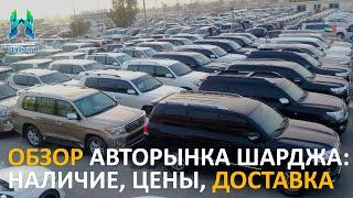 Обзор авторынка Шарджа (Дубай): цены, какие авто в продаже и как доставляют автомобили в ОАЭ