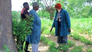 KE MAGAJIYA YANE Part 1 Latest Hausa Film Movie by (Maisana'a Kano TV)