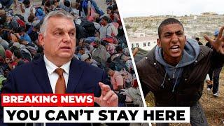 BREAKING | How Hungary ENDED The Immigration Crisis!