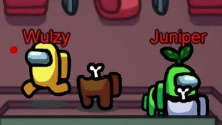 Wulzy why would you do that