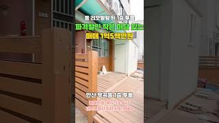 419 안산투룸빌라매매 파격할인 올리모델링 된 작은 마당 있는 깨끗한 빌라 매매 #short #shorts #shortvideo #shortsvideo