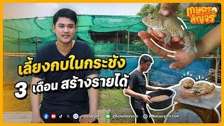 เลี้ยงกบกระชังบก เลี้ยงง่าย สร้างรายได้ใน 3 เดือน | เกษตรสัญจร Interview