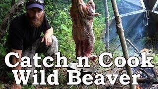 Catch and Cook WILD BEAVER!!! | BEYOND SURVIVAL | The Wilderness Living Challenge 2017 | S02E04