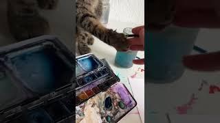 Frecher  Kreativ sein mit Katzen!