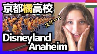 【圧巻】京都橘高校 Disneyland Anaheim 2017 ディズニー大好きハンガリー人も感動のマーチングバンド！〈日本の文化〉reaction 【海外の反応】 外国人のリアクション