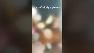 It’s a picture￼