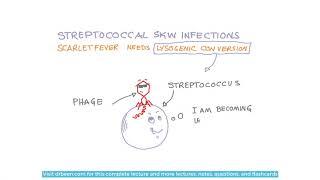 Scarlet fever and its management approach