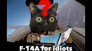 Idiots Guide to F-14A in War Thunder