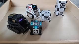 Vector 2.0 meets Anki Cozmo robot #vector #cozmo