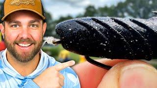 This BAIT is Unfair...It Triggers Big Bass When Others Won't