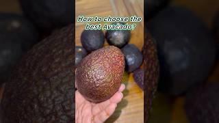 How to choose best Avacado? #fruit #shorts #ytshorts #beautifulnature 