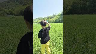 놀이왕 버미