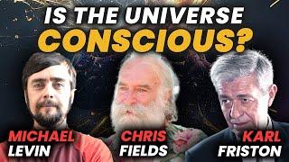 Levin Λ Friston Λ Fields: „Meta“ schwieriges Problem des Bewusstseins