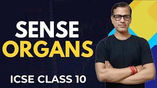 Sense Organs Class 10 ICSE | Sense Organs One Shot | Biology ICSE Class 10 | @sirtarunrupani