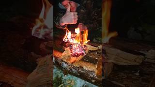 3Как добыть огонь в сыром лесу в снежный шторм #выживание #выживаниевлесу #bushcraft #добычаогня