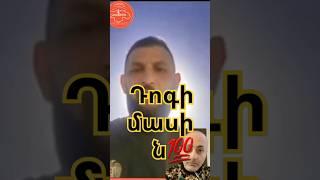 Դոգի մասին live Vardan Ghukasyan dog Վարդան Ղուկասյան #shorts #vardanghukasyan #dog #լուրեր #reels