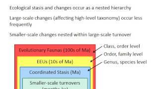 Guilds and evolutionary faunas