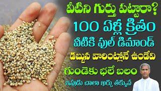 12 Nutritional Benefits Of Sajjalu (Pearl Millets) | Dr Manthena Satyanarayana Raju  |HEALTH MANTRA