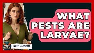 What Pests Are Larvae? - Insects and Invaders