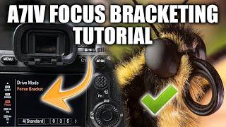 Sony A7IV Focus Bracketing Tutorial + Editing