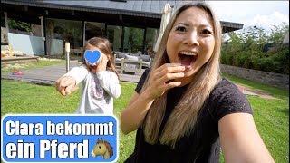 Mega Überraschung! Clara bekommt ein Pferd  Fashion Haul & Familien Alltag VLOG | Mamiseelen