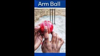 How to grip Arm Ball / How to bowl arm ball / #shorts #Armball #cricketshorts