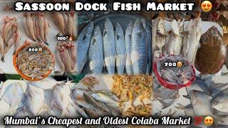 Sassoon Dock Fish market | Wholesale Fish market in Mumbai | Colaba Fish Market Mumbai