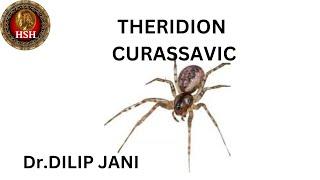 THERIDION CURASSAVICUM - Dr. Dilip Jani @hsh_homeopathy