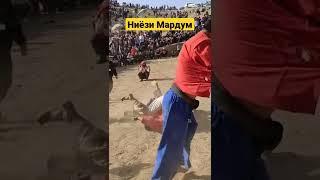 Ҳақназар Ва Аламов