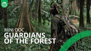 Guardians of the Forest: Protecting the Lungs of the Central African Republic