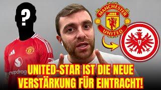 UNITED-STAR vor SGE-WECHSEL: Romano bestätigt DEAL | eintracht frankfurt nachrichten heute