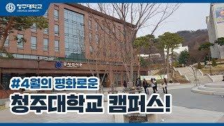 4월의 청주대학교 캠퍼스 풍경!