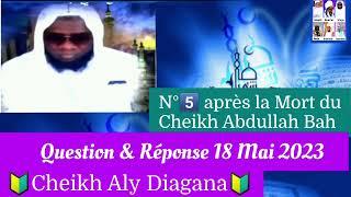 Cheikh Aly DiaganaQuestion & Réponse 18/05/2023