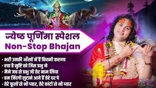 ज्येष्ठ पूर्णिमा स्पेशल || Non-Stop Bhajan || Shri Aniruddhacharya Ji || Sadhna Bhajan