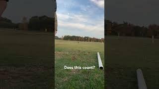 Working on my short game. Does this count? #golf #shortgame