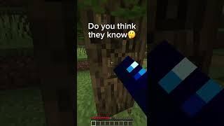 Do you think they know  #subscribe #thetrumanshow #minecraft
