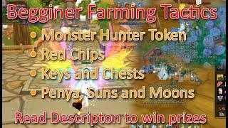 Insanity Flyff - Beginner Farming Tactics