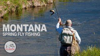 Spring Creek FLY FISHING: BIG FISH Knee Deep in Montana’s Madison Valley by Todd Moen